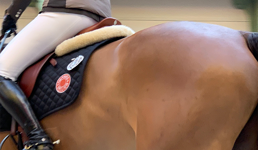 ソー・エルメス 編集大魔王・祐真朋樹