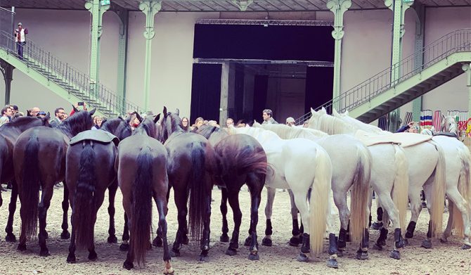 ソー・エルメス 編集大魔王・祐真朋樹